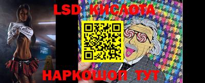 МДПВ Донецк