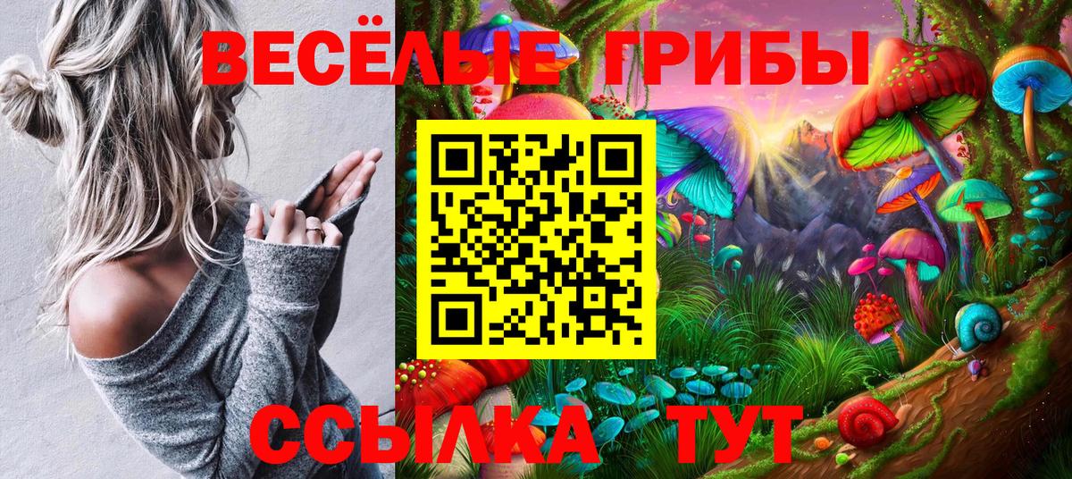 где продают наркотики  Вход с VPN  Ливны  Псилоцибиновые грибы Cubensis 